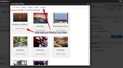 Add Media into Post
