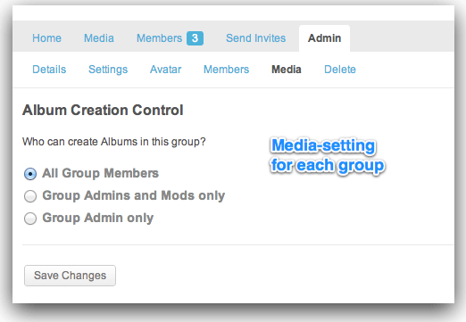 BuddyPress-media Group settings-1