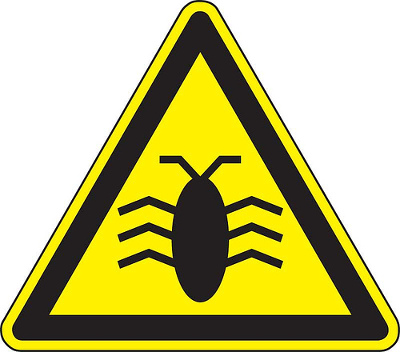 softwareBug2