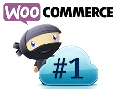 WooCommerce