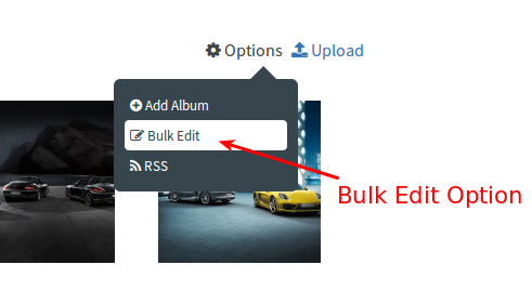 rtMedia-PRO 2.1 with Better Bulk Media Management & "Likes" Tab