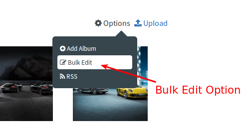 bulk edit option