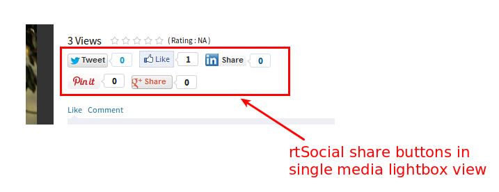 rtsocial-button-in-single-media-view