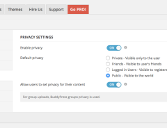 Privacy-Settings