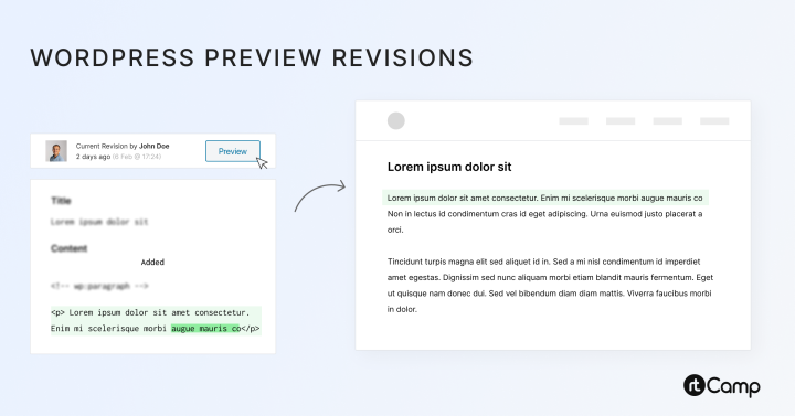 WordPress Preview Revisions