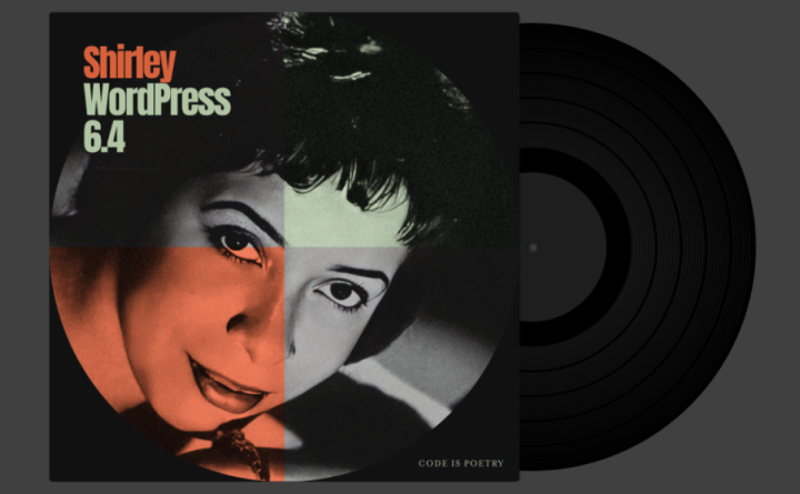 Shirley WordPress 6.4