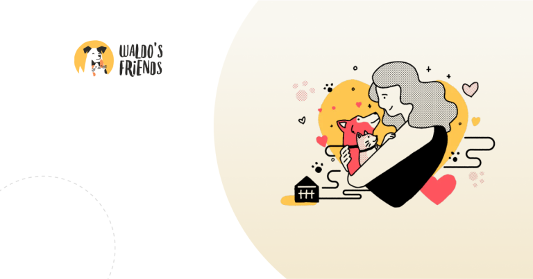 Creating a Decoupled E-Commerce Solution for Waldo’s Friends