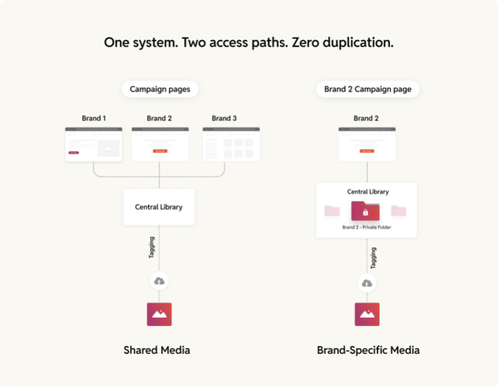 shared vs brand specific media assets
