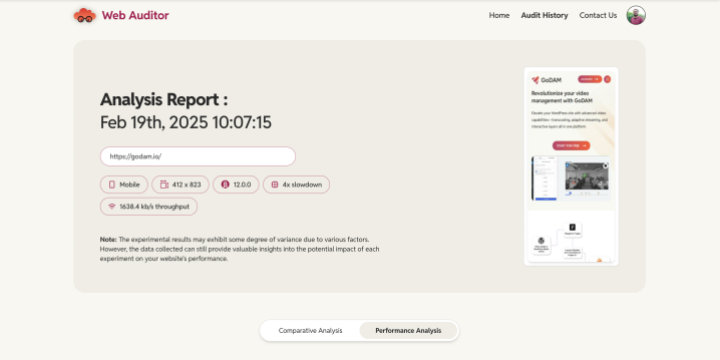 Web Auditor Analysis Report