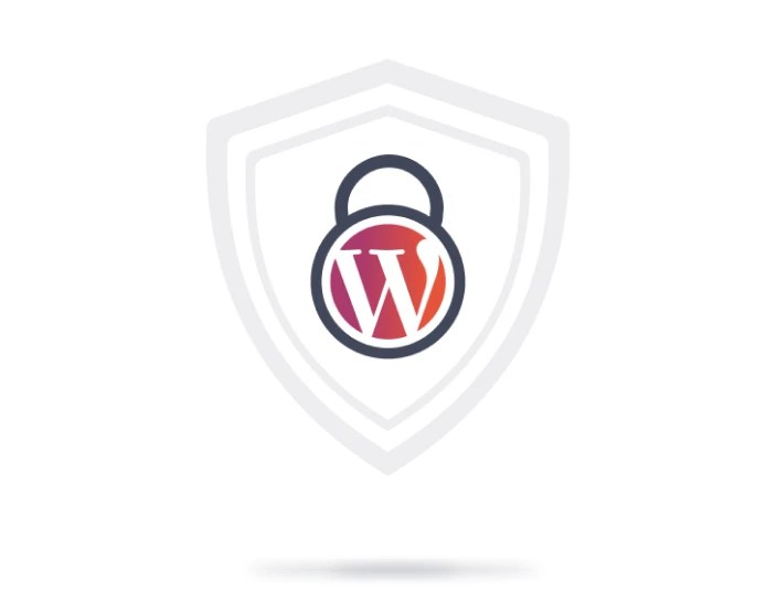 WordPress security best practises for enterprises.