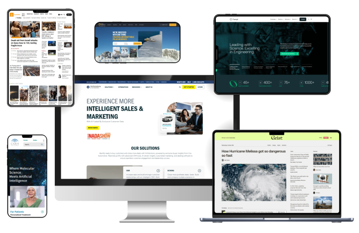 Enterprise WordPress Website Development
