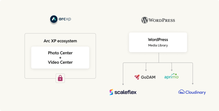 Arc XP vs WordPress DAM comparison