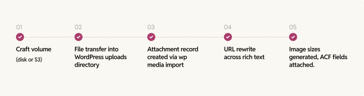 Migrating media from Craft CMS to WordPress