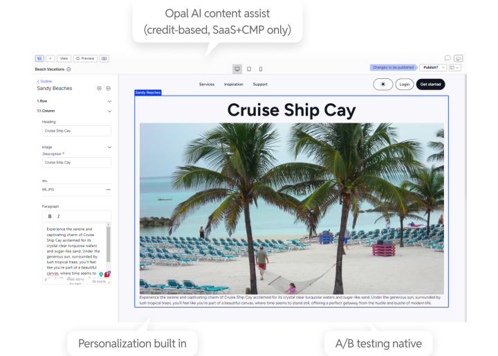 Optimizely Editor interface